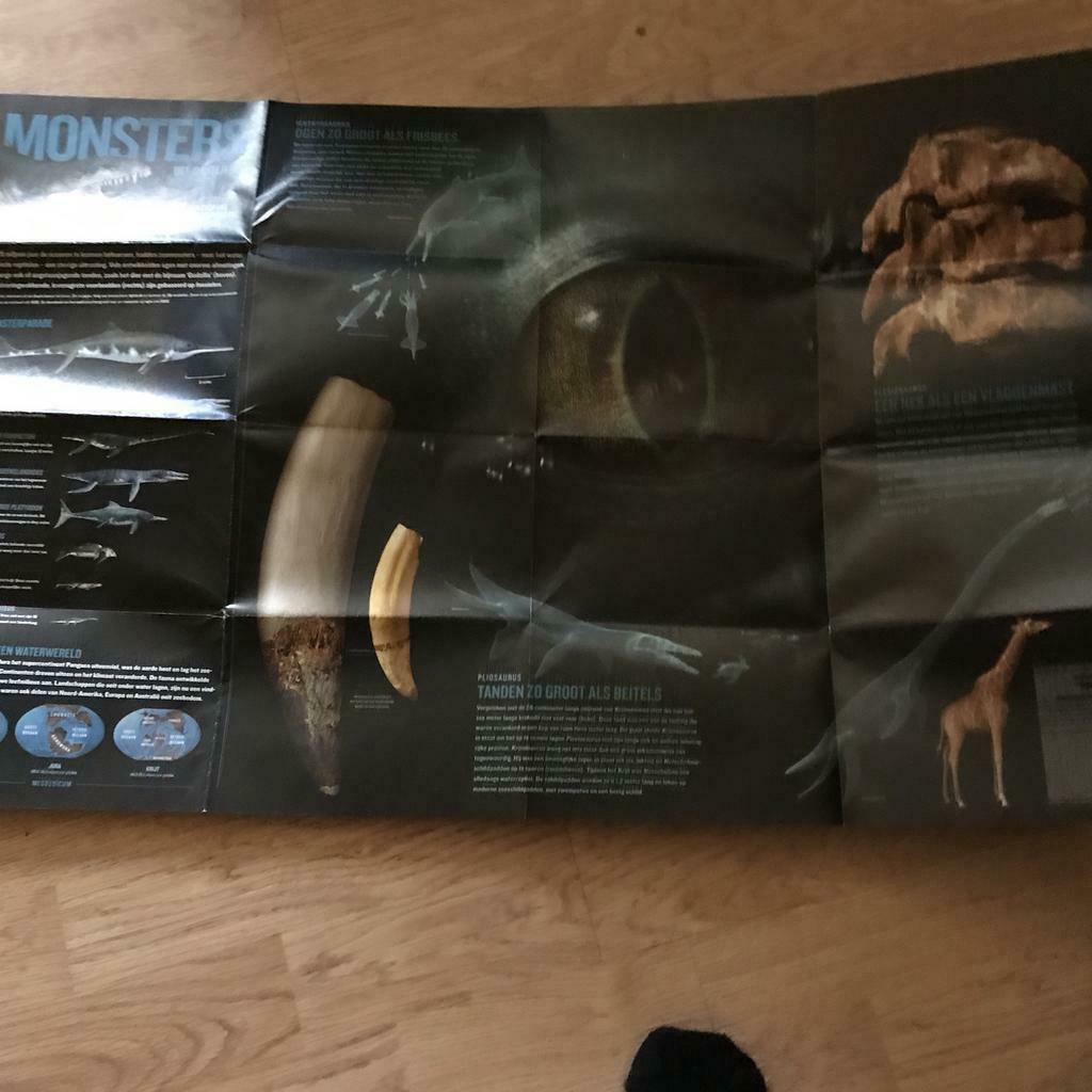 Monsters / poster, Ophalen of Verzenden
