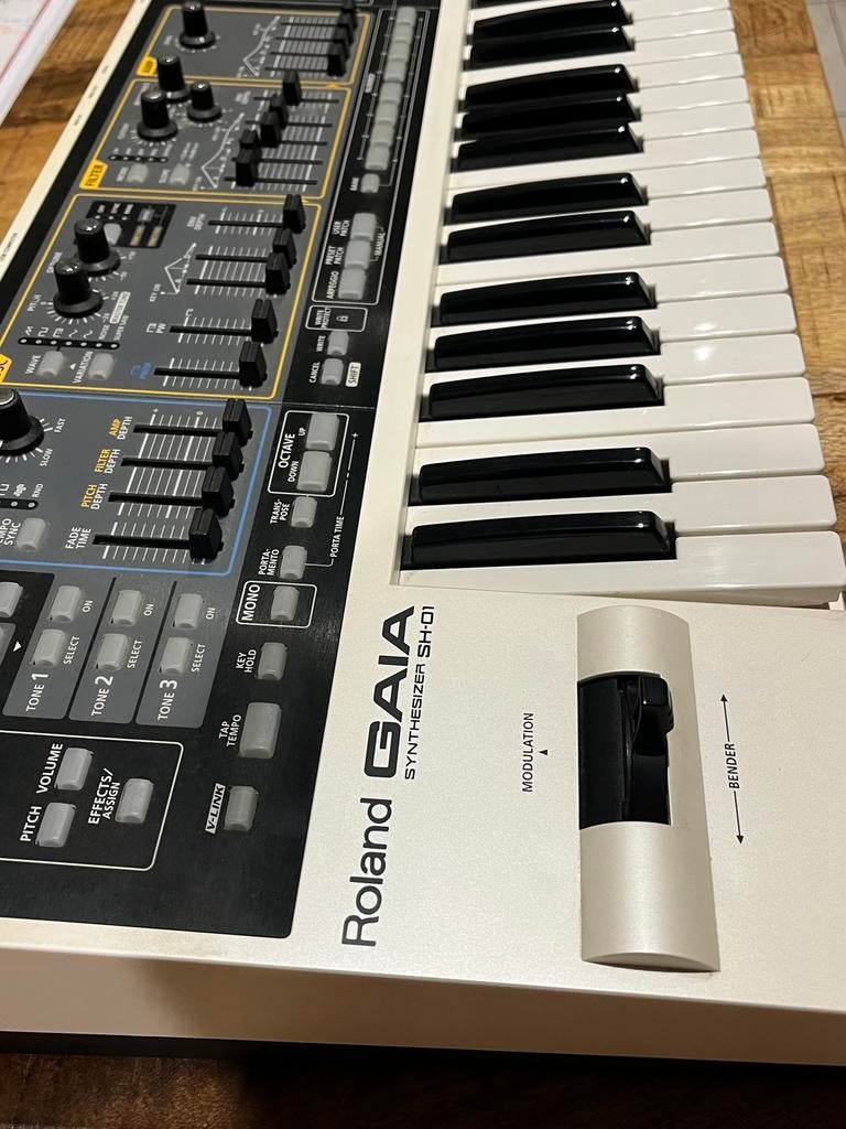Roland Gaia SH-01, Muziek en Instrumenten, Ophalen, Zo goed als nieuw, Roland