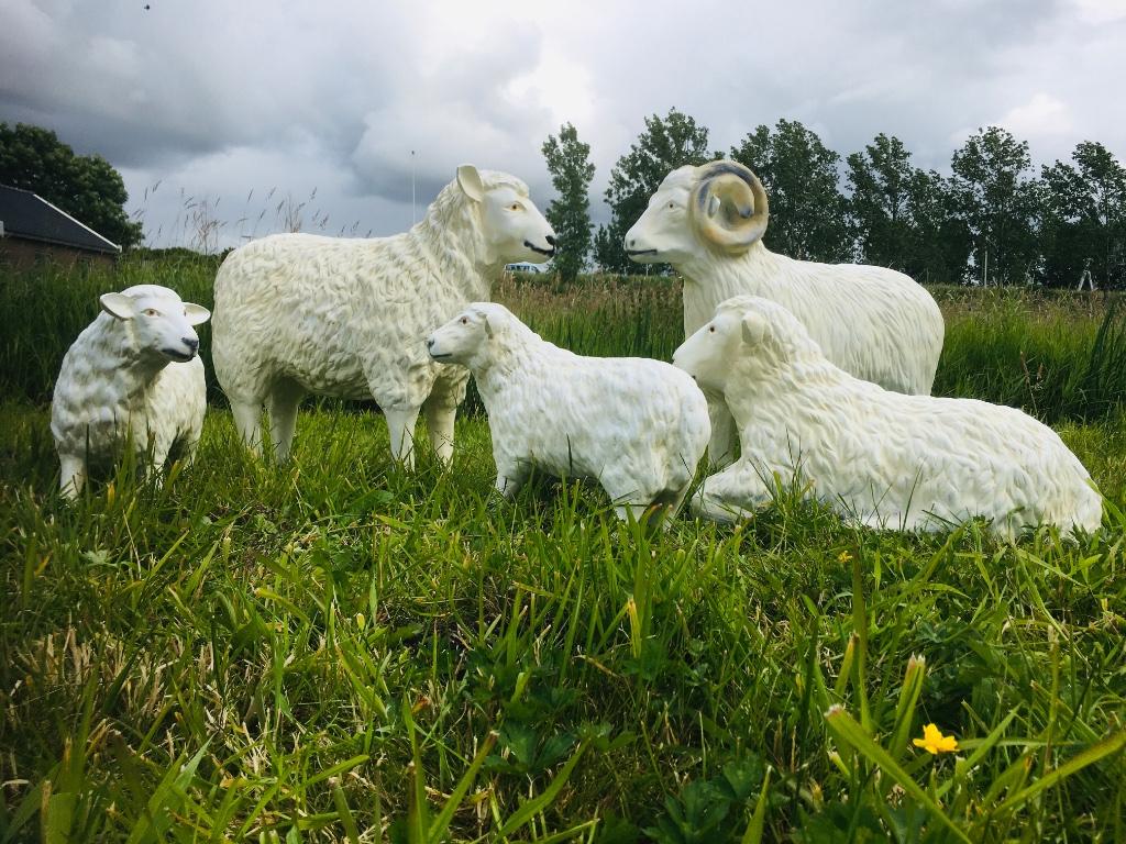 Herdershond-schaap-ram- geit-varken- tuinbeelden, Ophalen of Verzenden, Nieuw, Dier