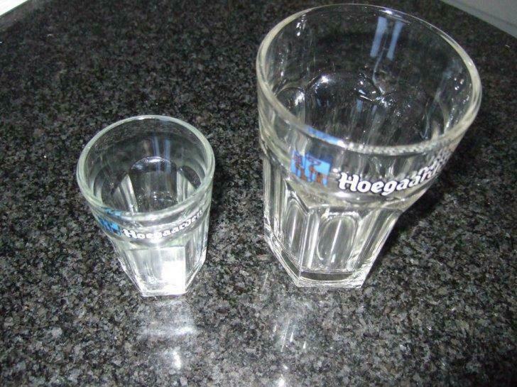 bierglazen "hoegaarden", Verzamelen, Ophalen of Verzenden, Nieuw