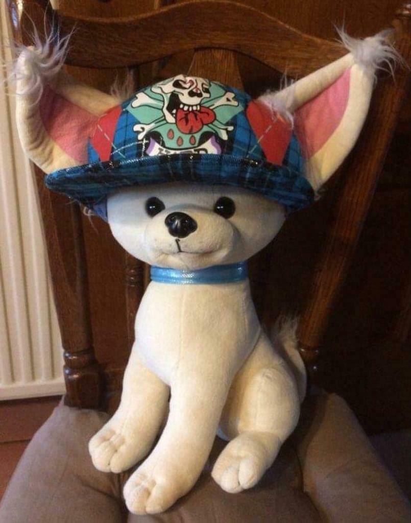 Mooie,grote,dikke chiwawa knuffel met pet op., Ophalen of Verzenden, Zo goed als nieuw