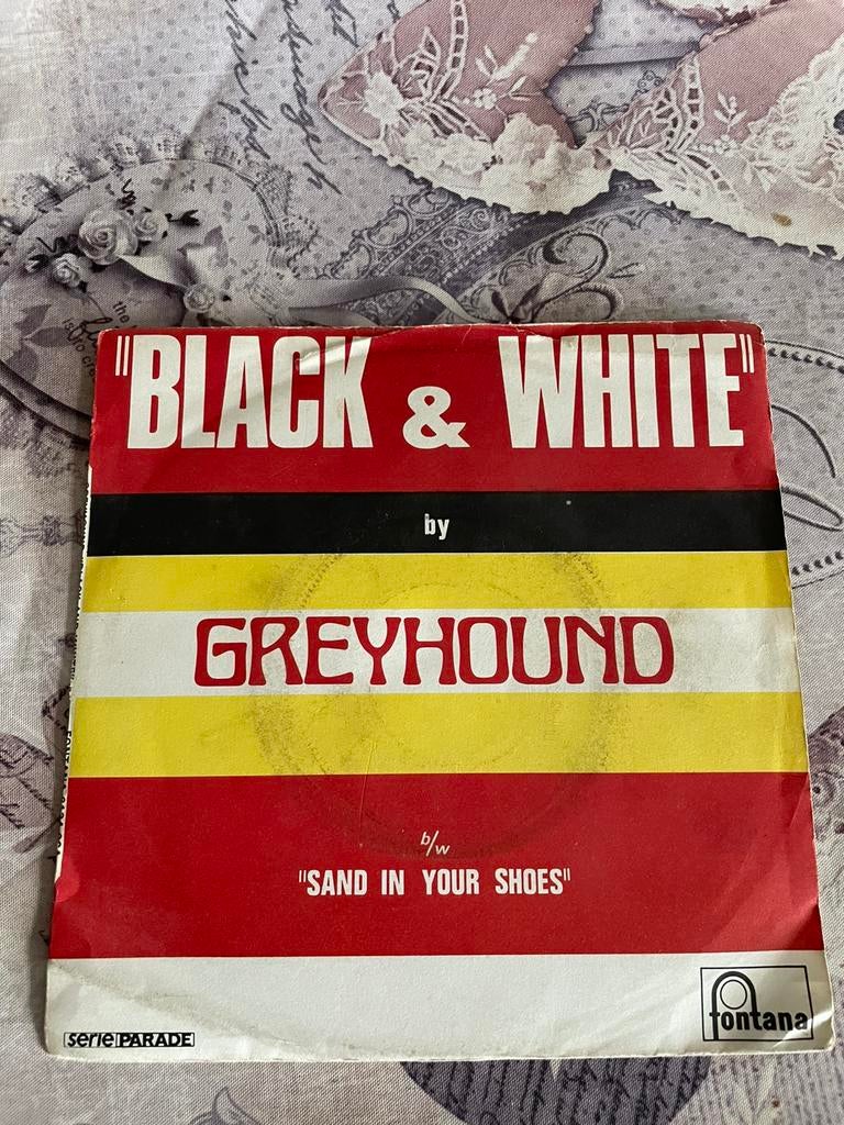 Greyhound  - black and white / sand in your shoes, Ophalen of Verzenden