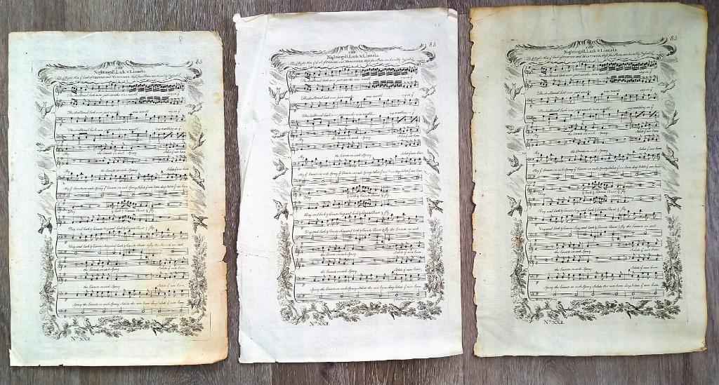 Bladmuziek [circa 18e eeuw] Nightingall, Lark & Linnets 3 ex, Musique & Instruments, Enlèvement ou Envoi, Utilisé