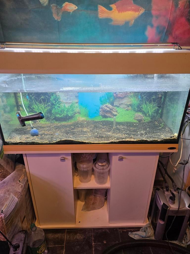 A vendre  aquarium  100cm x 52cm x 42 cm, Ophalen of Verzenden