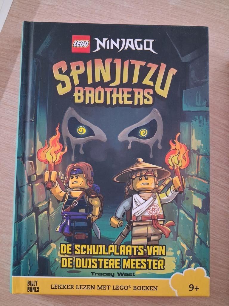 LEGO NINJAGO - Spinjitzu Brothers - De schuilplaats van de d, Enlèvement ou Envoi, Comme neuf, Tracey West