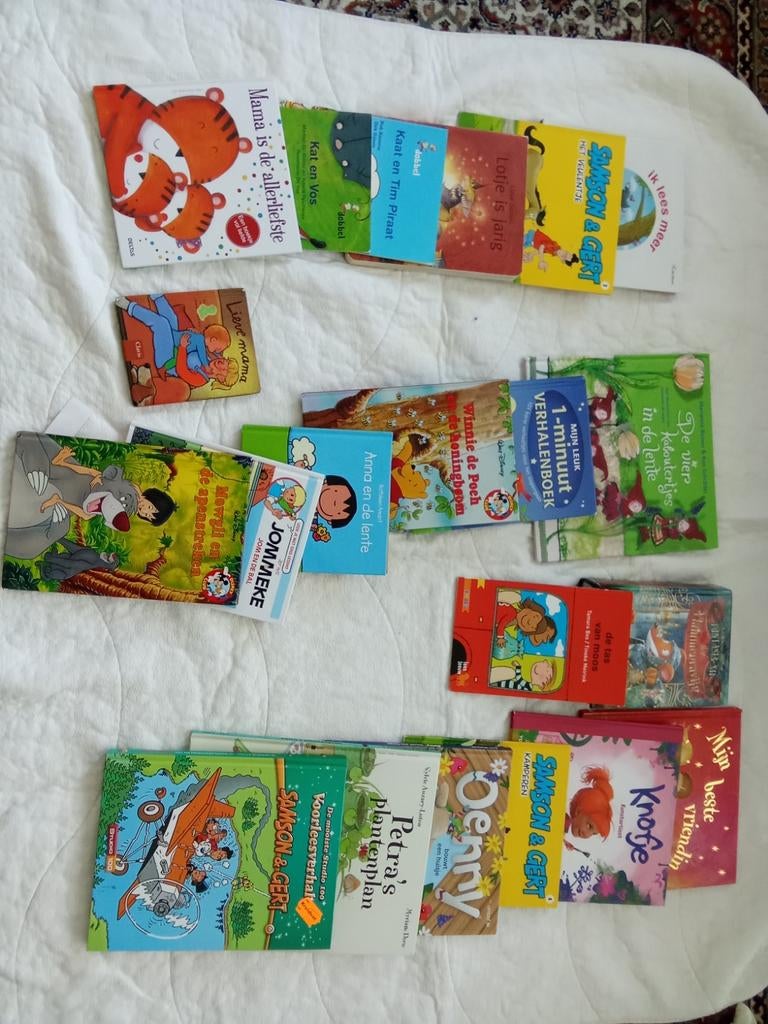 25 manuels scolaires du primaire, Livres, Enlèvement ou Envoi