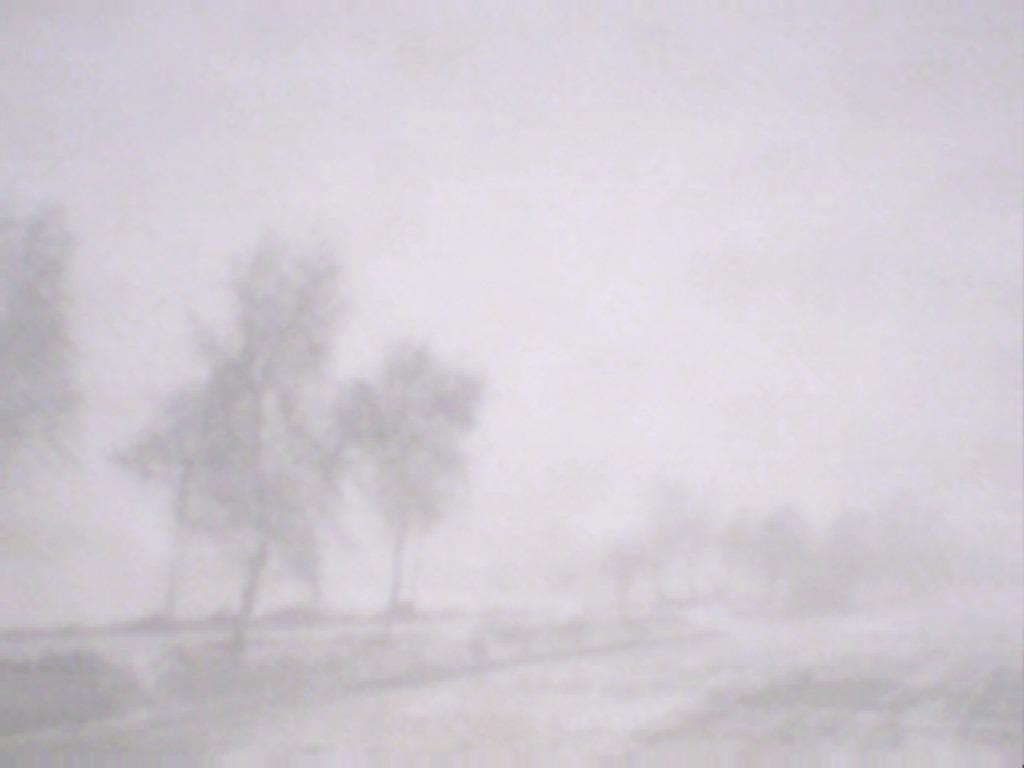 dag na zuiverheid, Verzenden