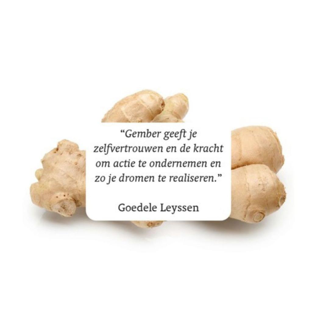 RainPharma room spray ginger 50ml, Ophalen of Verzenden, Nieuw