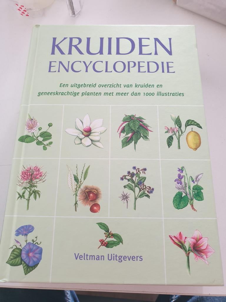 Hans W. Kothe - De kruidenencyclopedie, Enlèvement ou Envoi, Hans W. Kothe, Comme neuf, Plantes et Alternatives