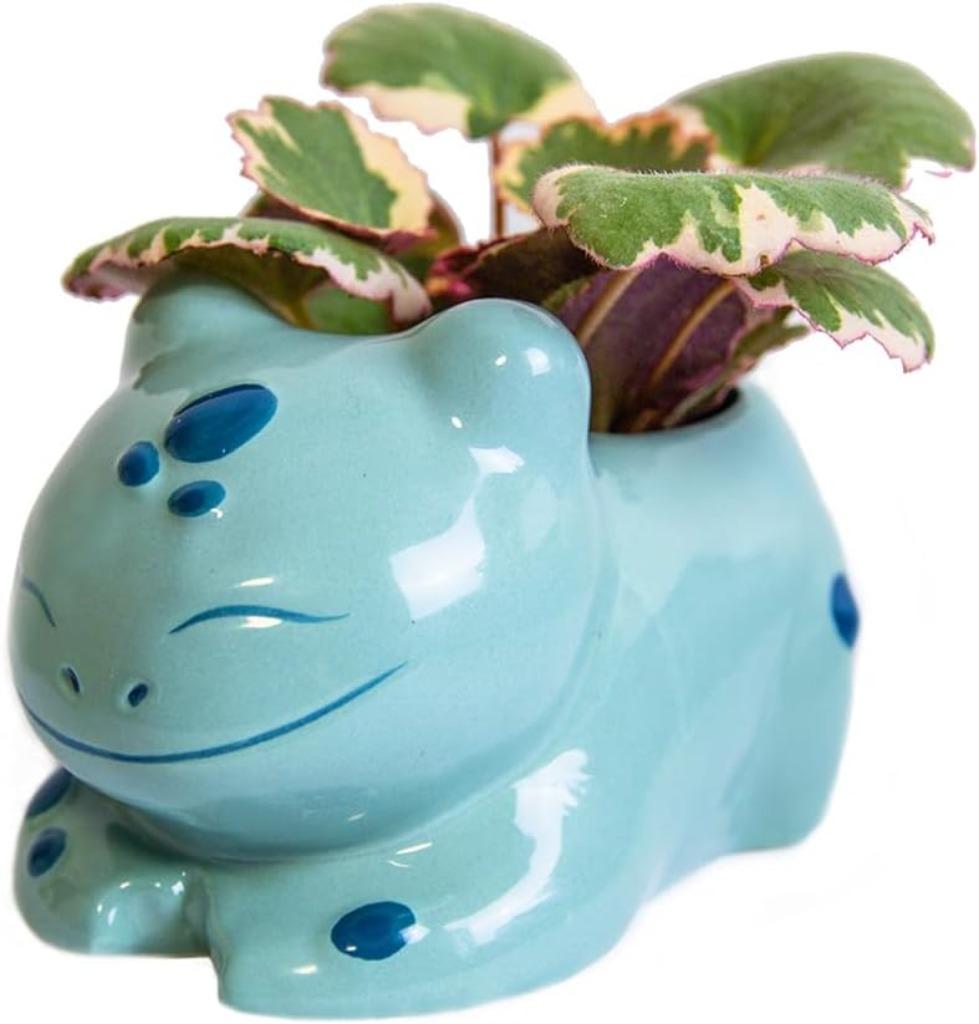 Handgemaakte keramische bloempot GRATIS LEVERING