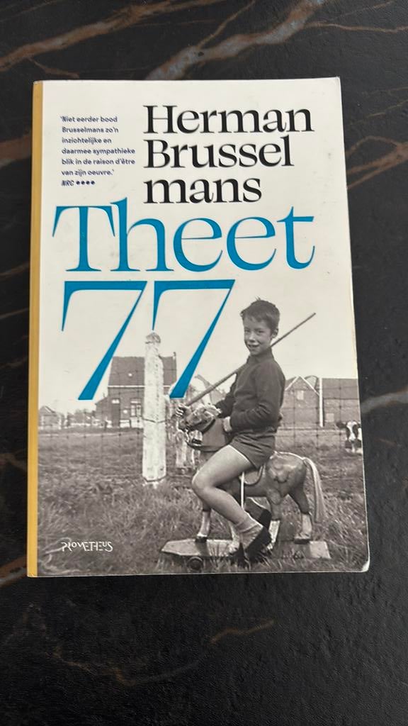 Herman Brusselmans - Theet 77, Boeken, Ophalen, Herman Brusselmans