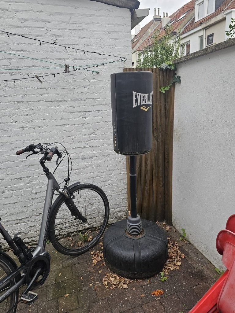 Punching bag Everlast Omniflex, Enlèvement, Utilisé, Punching-ball