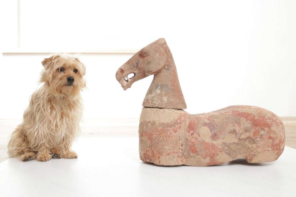 Chinees aardewerk paard met losse kop – Han-stijl terracotta, Antiek en Kunst, Ophalen, Zoogdier, 20 - 50 cm, Steen of Keramiek