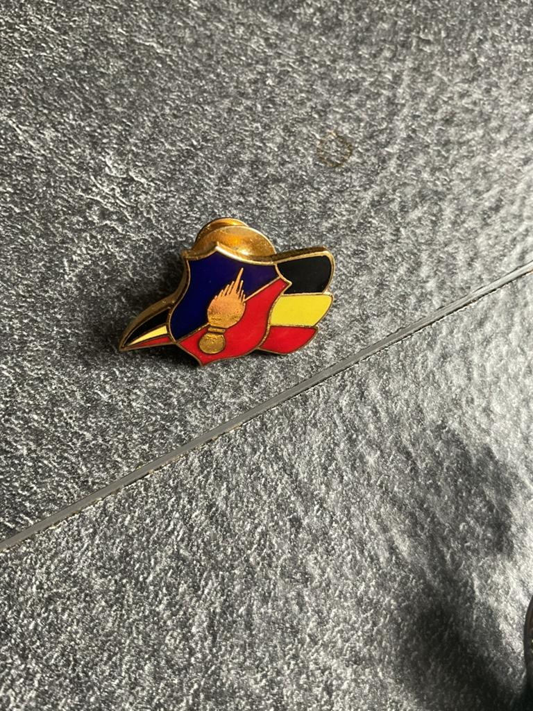 Rijkswacht pin, Verzamelen, Militaria | Algemeen, Ophalen, Rijkswacht