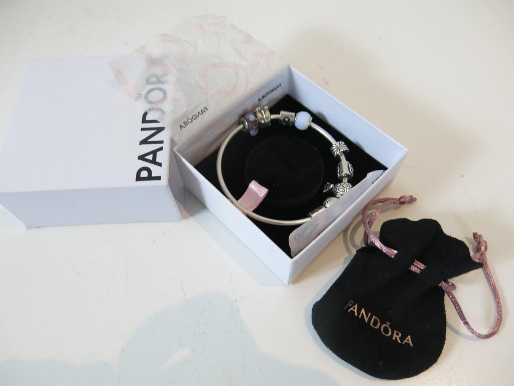 Bracelet à breloques Pandora en argent 925, Bijoux, Sacs & Beauté, Bracelets à breloques, Utilisé, Pandora, Argent, Enlèvement ou Envoi