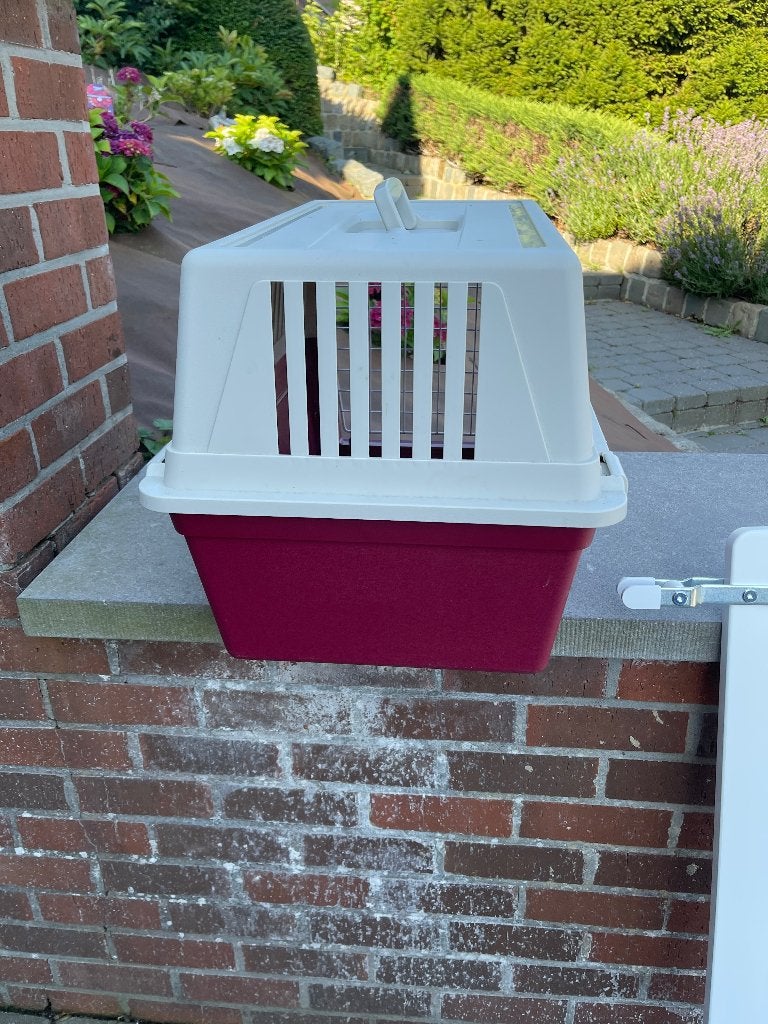 Cage transport rigide pour chat, Enlèvement, Comme neuf