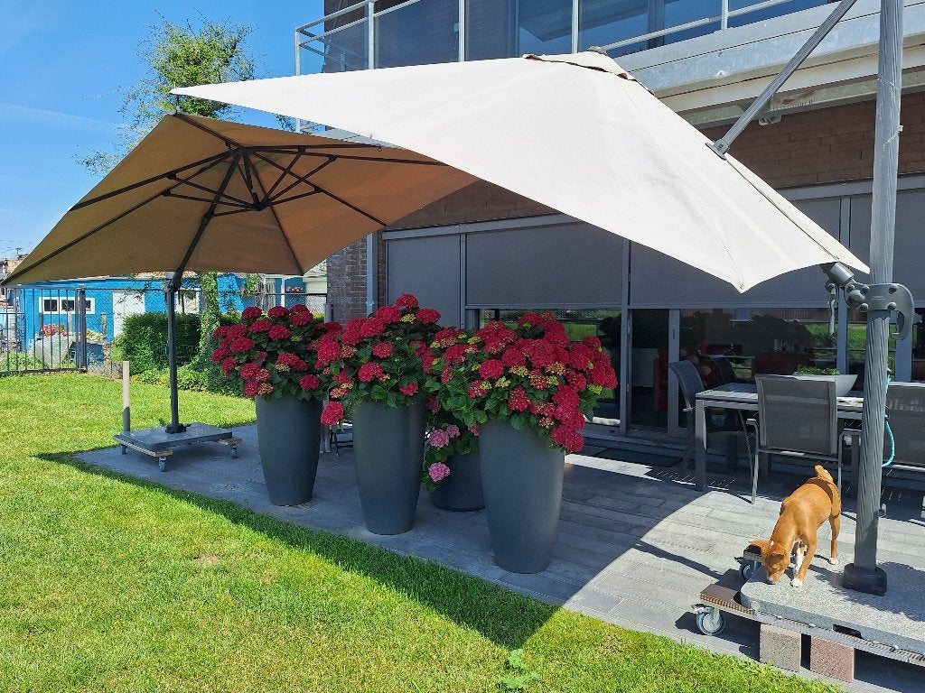 Volledig prachtig tuinterras met meubelset-parasols-bloemen, Ophalen, Zo goed als nieuw