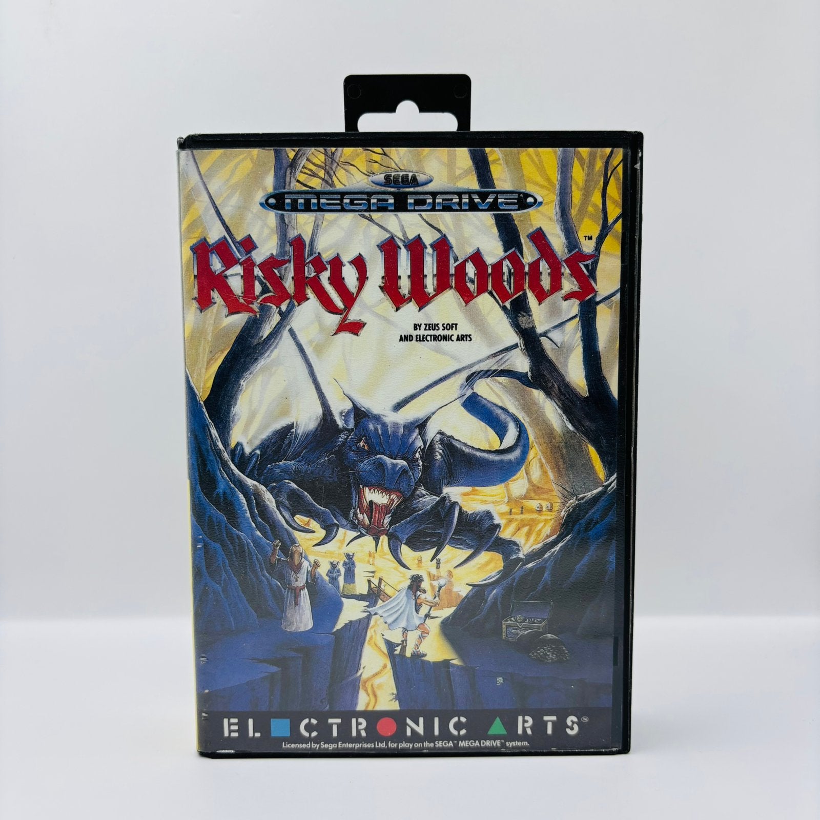 Risky Woods Sega Mega Drive, Avontuur en Actie, Gebruikt, Ophalen of Verzenden, Mega Drive