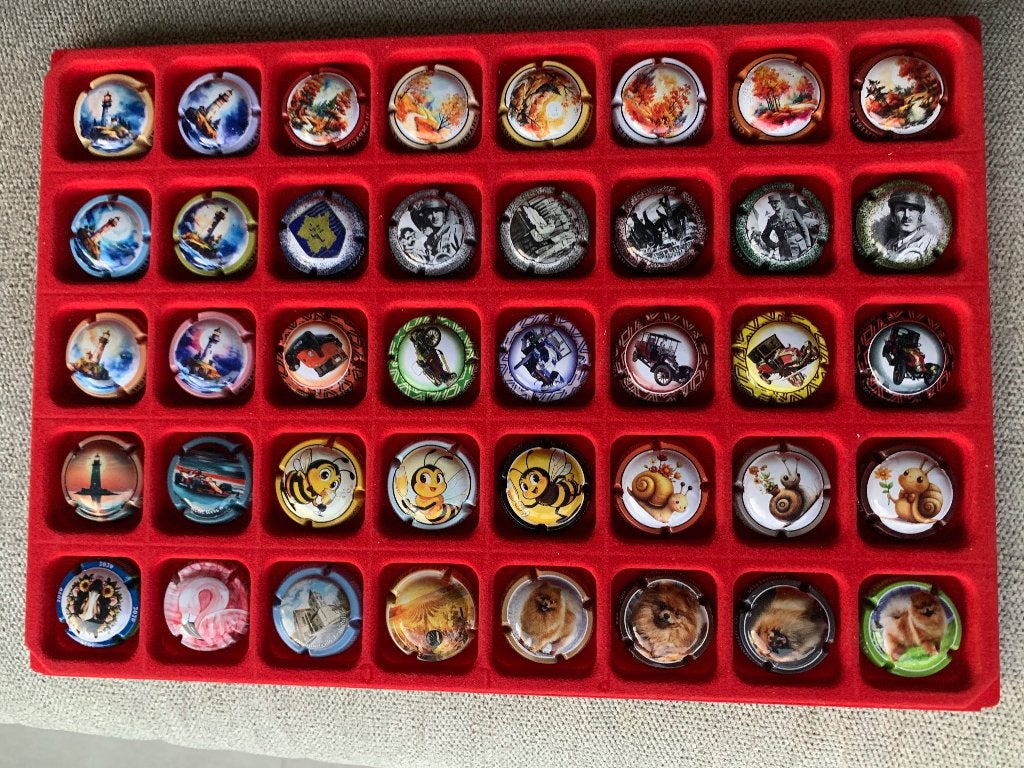 Lot A : 40 champagne capsules, Verzamelen, Complete verzamelingen en Collecties, Ophalen of Verzenden