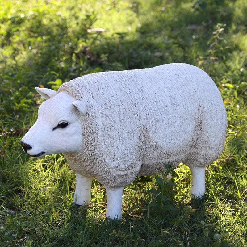 Texelaar, tête haute, taille S, mouton de 48 cm de long