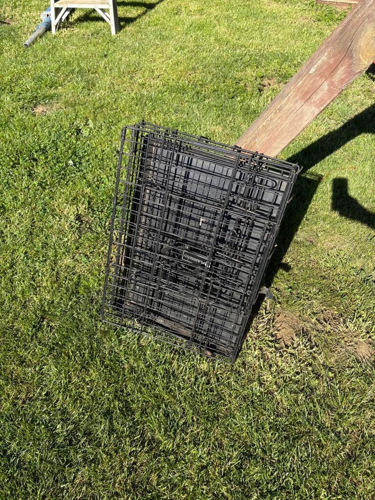 Honden bench puppy, Dieren en Toebehoren, Ophalen, Zo goed als nieuw