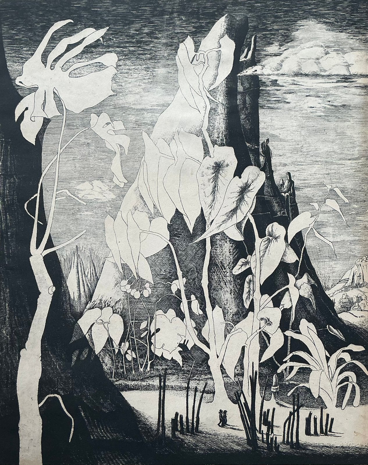 Ets Maurice Van den Dries (1944-2025), Antiek en Kunst, Ophalen, Ets