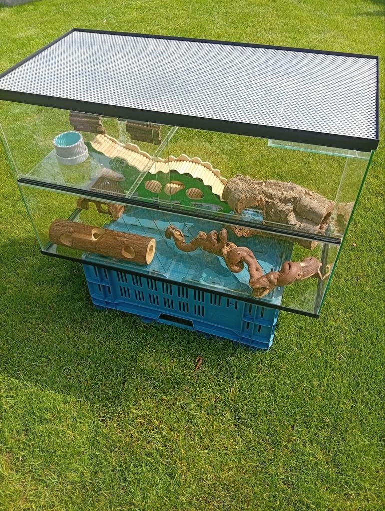 Glazen hamsterkooi, Dieren en Toebehoren, Ophalen