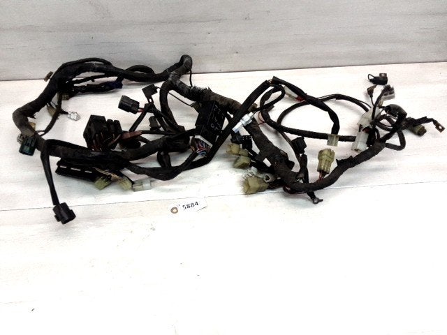 ZZR1400 2005 - 2011 Kawasaki Kabelboom D1-48441