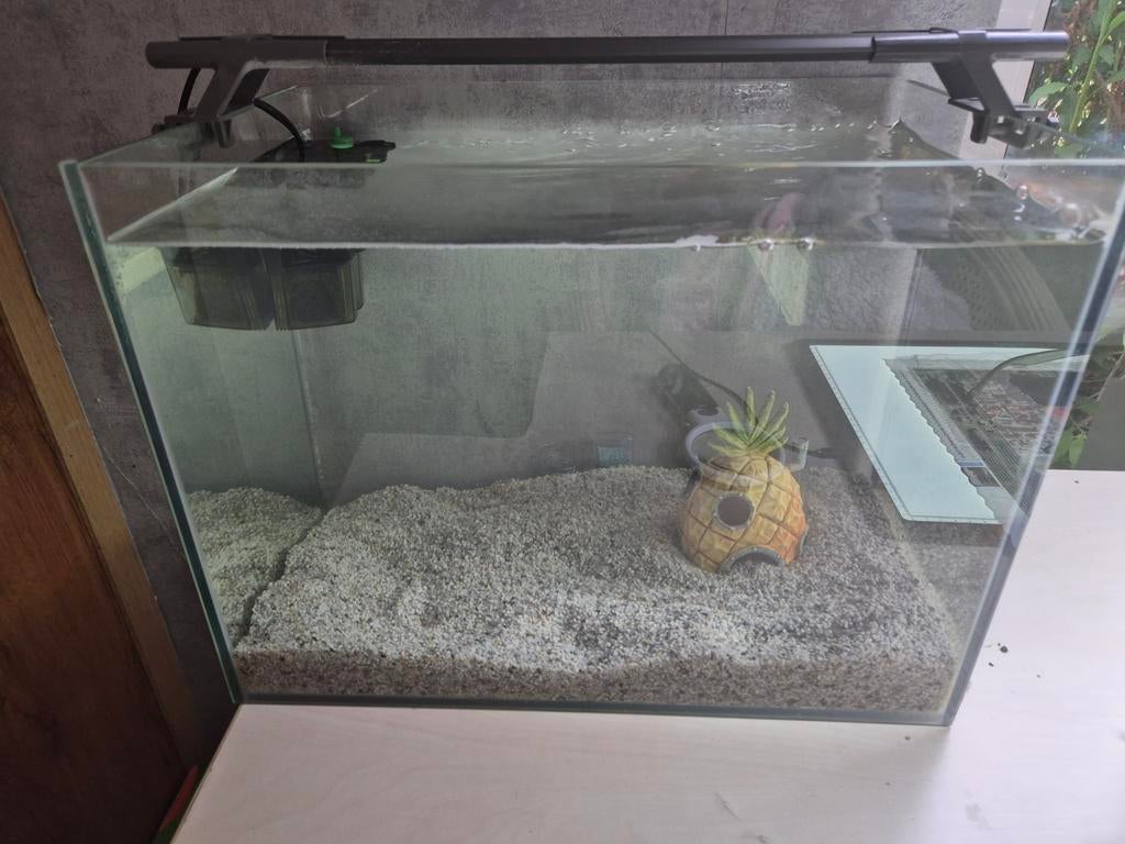 Vis Aquarium met lamp en filter, Ophalen of Verzenden, Filter