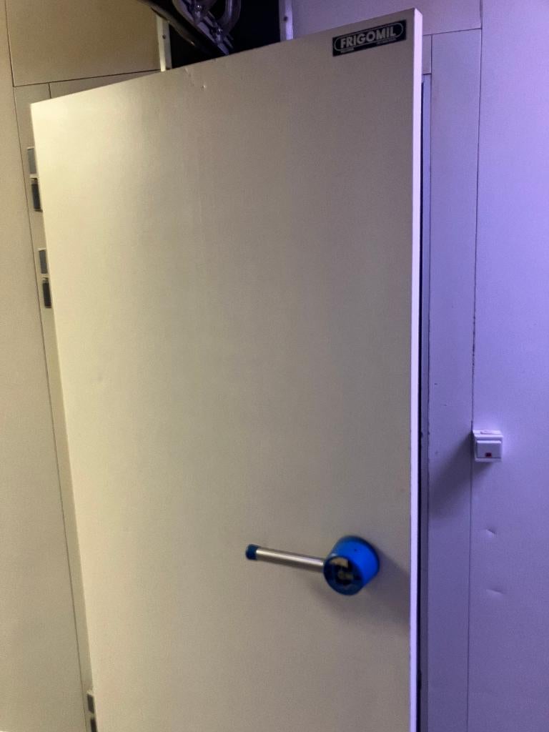 chambre froide avec rampe à viande intégrée, système rails, Articles professionnels, Enlèvement, Utilisé, Boulangerie et Boucherie