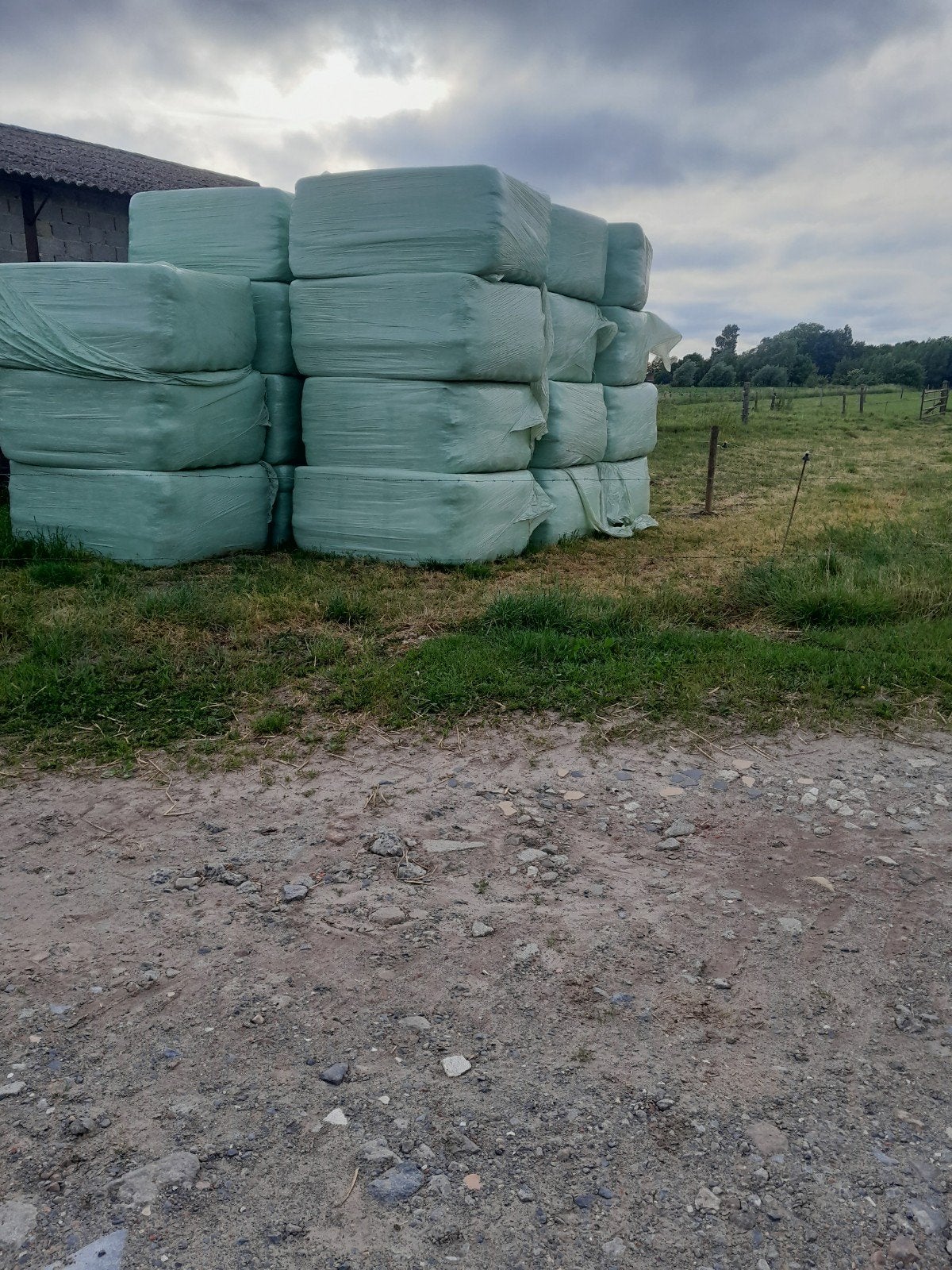 Grote pakken voordroog te koop, Dieren en Toebehoren, Ophalen of Verzenden