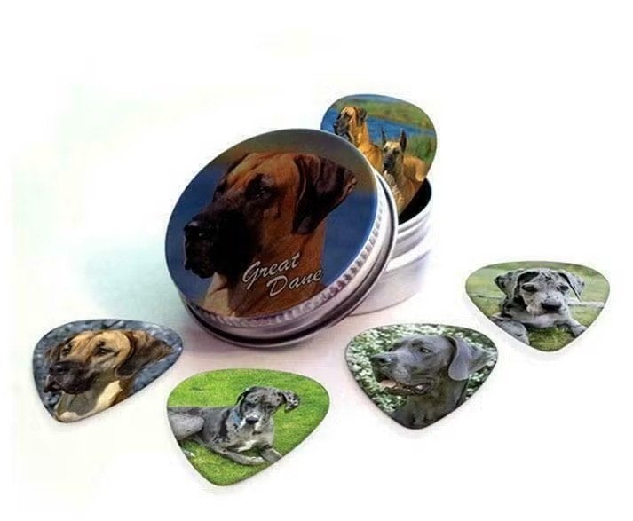 Blikje + plectrums met afbeelding van een Deense Dog hond, Ophalen of Verzenden, Nieuw