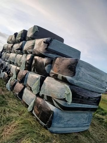 pakken voordroog, Ophalen