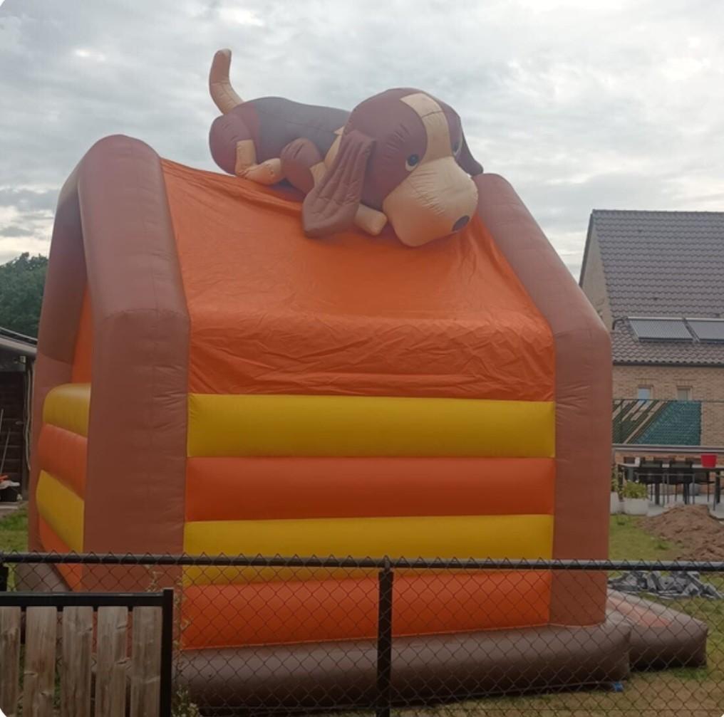 Springkasteel te huur: Springhondje, Hobby & Loisirs créatifs, Articles de fête | Location, Envoi