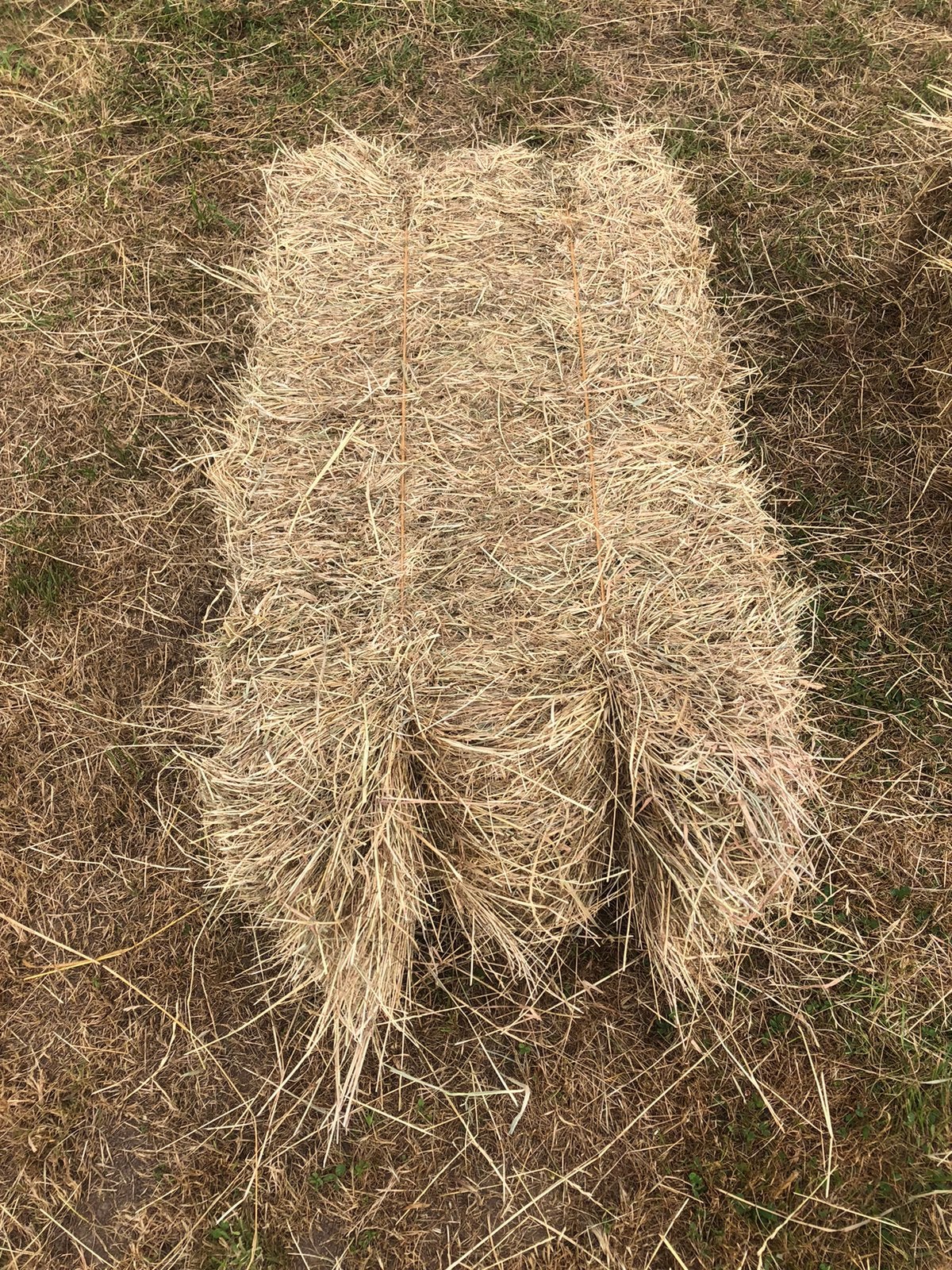 Kleine balen hooi, Dieren en Toebehoren, Dierenvoeding, Ophalen