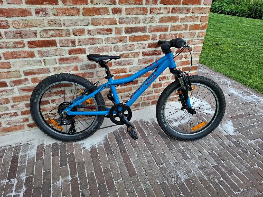 Bergamonster 20 inch, Fietsen en Brommers, Ophalen, 16 tot 20 inch, Velgrem, Bergamont