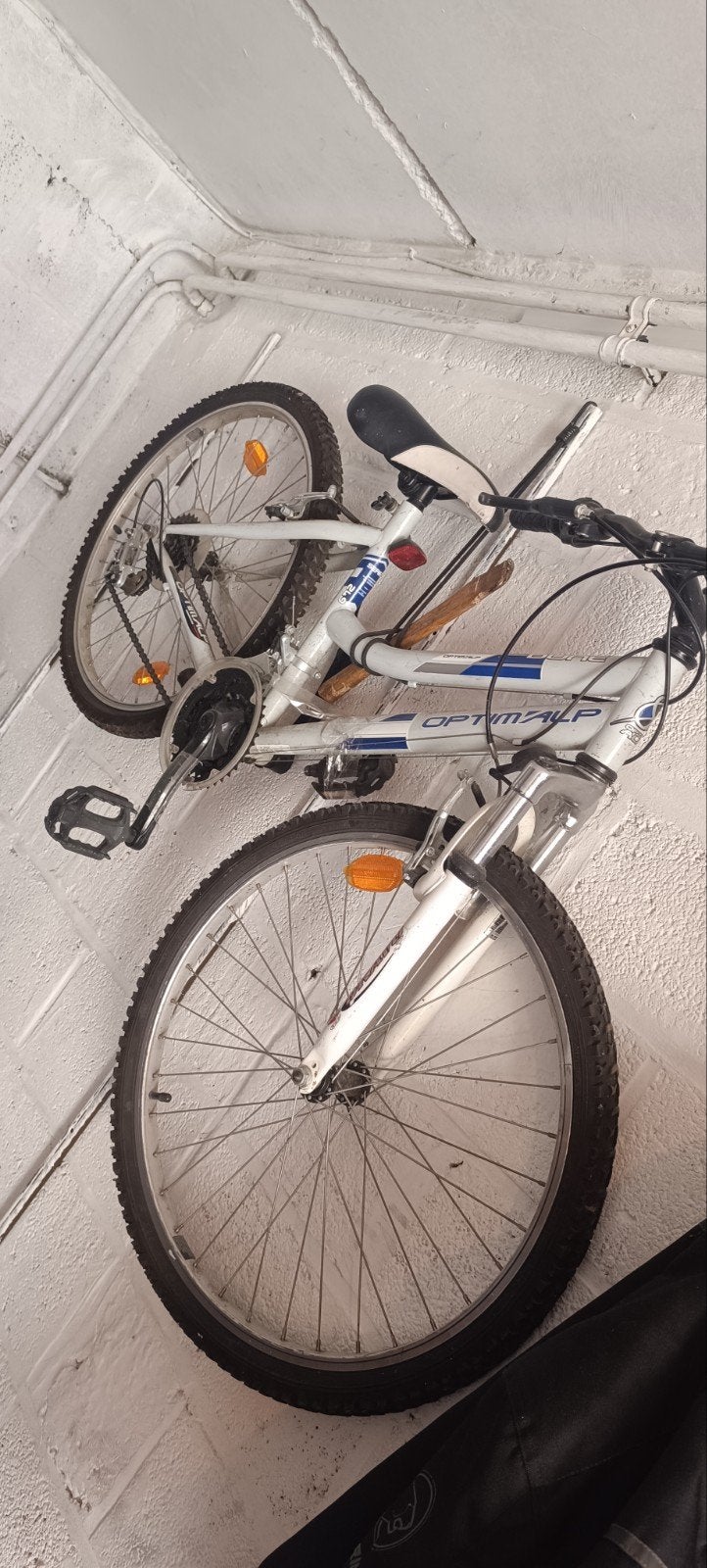 Velo
