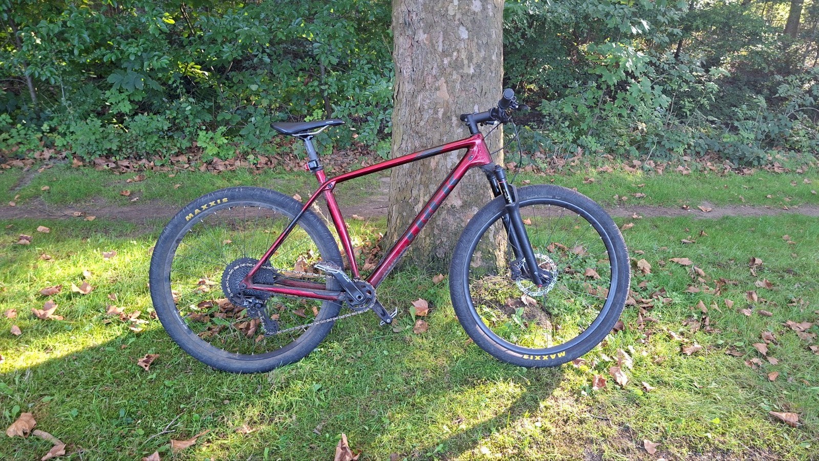 Trek Procaliber 9.7 Carbon – 29" – Rage, 24 pouces ou plus, Enlèvement, Utilisé, Frein à disque