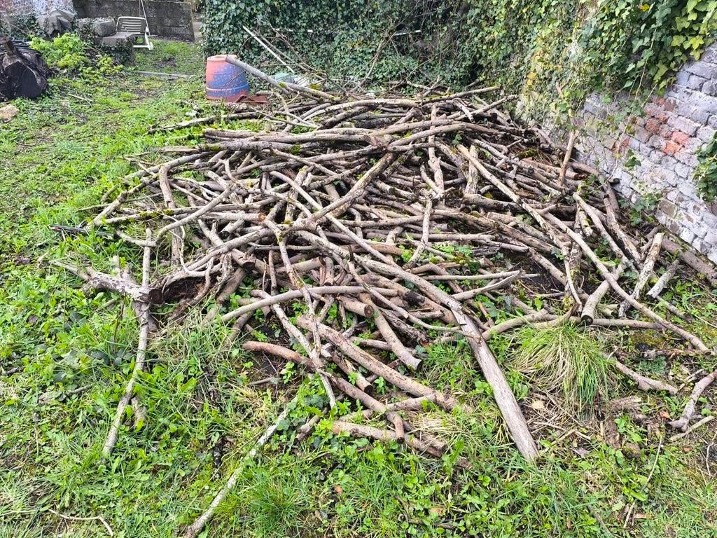 Bois non résineux A DONNER, Enlèvement