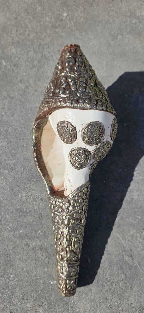 grote schelptrompet Vishnu Shankha, Ophalen