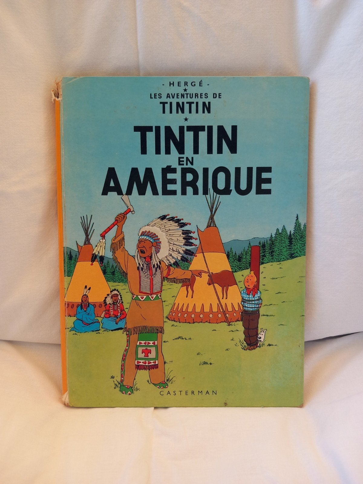 TINTIN EN AMÉRIQUE, Boeken, Ophalen