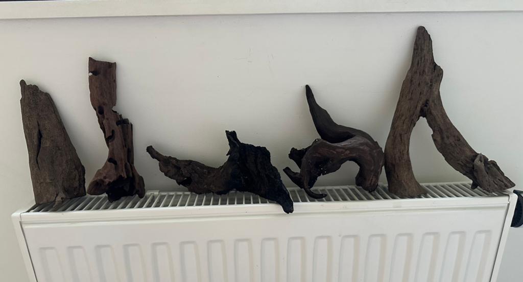 Aquarium hout, Enlèvement, Comme neuf, Plante(s), Pierre ou Bois