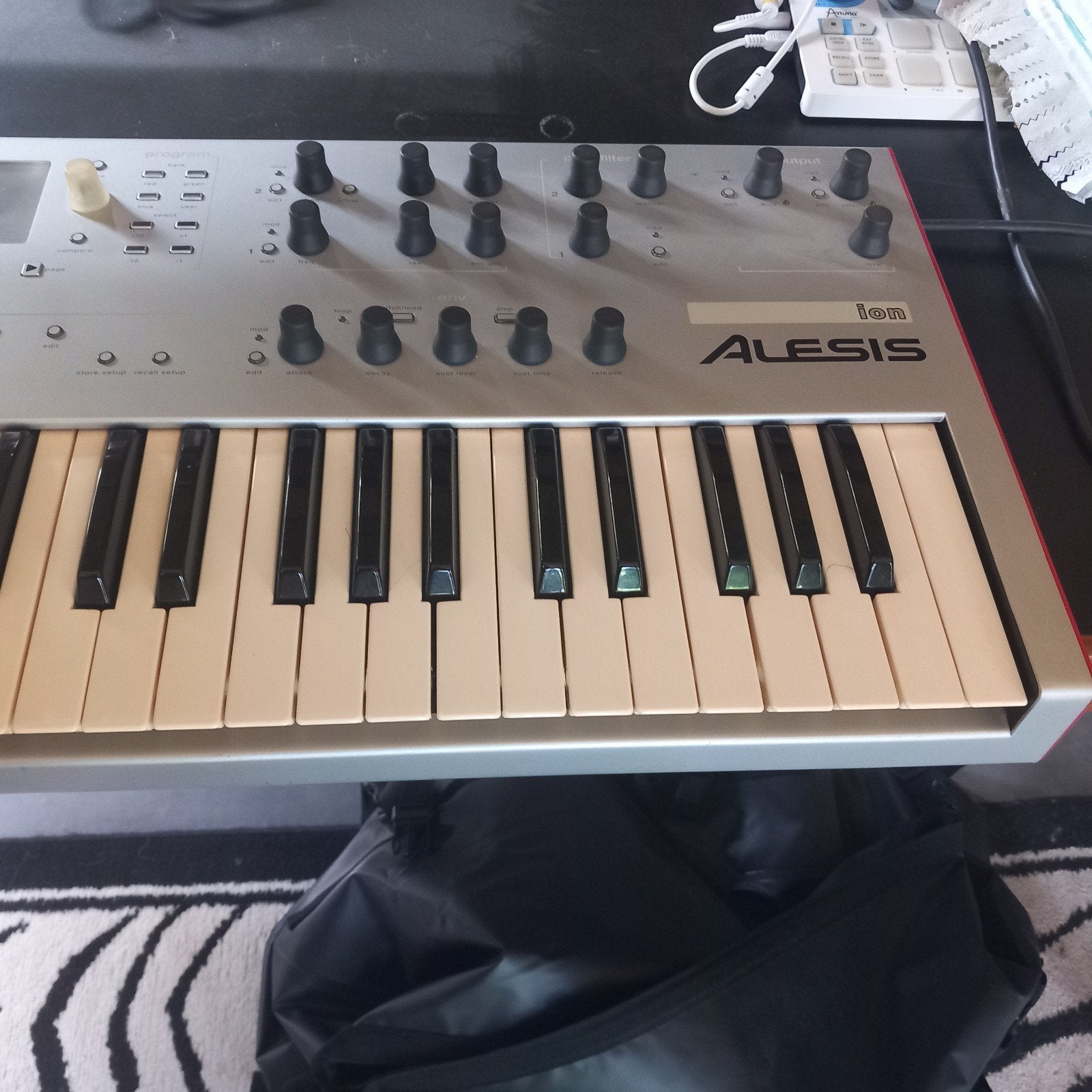 alesis Ion, Enlèvement