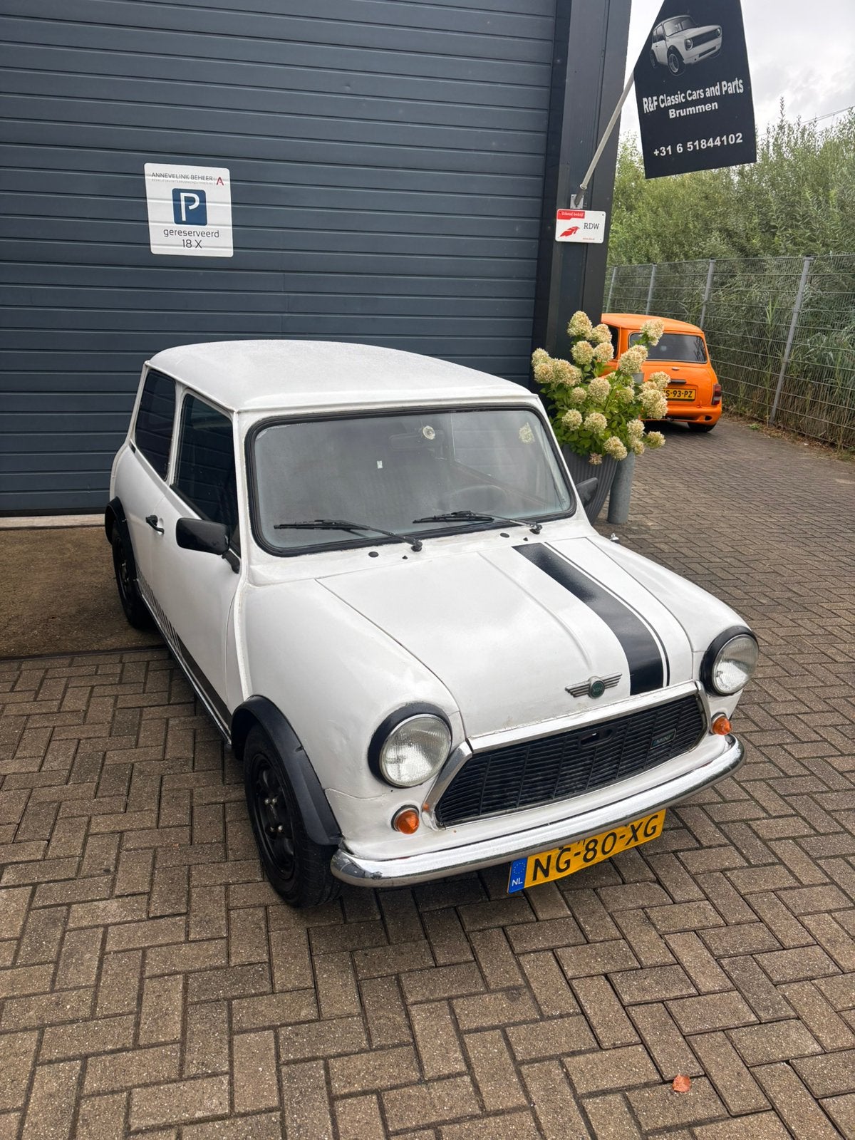 Classic mini 1000 bouwjaar 1985, Auto's, Oldtimers, Voorwielaandrijving, Zwart, Wit, Bedrijf