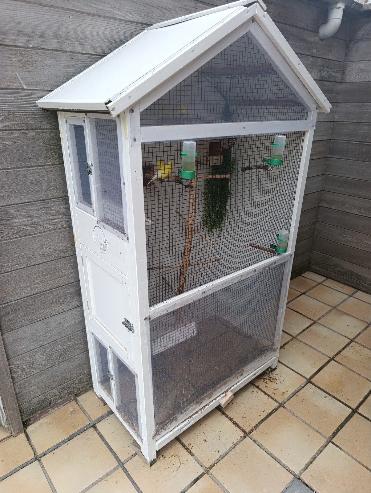 vogelkooi, Enlèvement, Cage à oiseaux