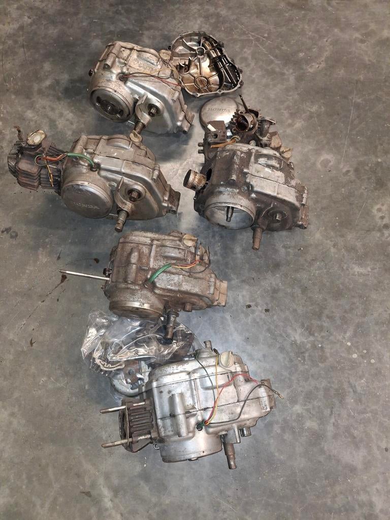 5 honda amigo blokjes, Enlèvement