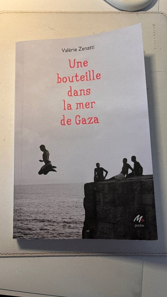 Une bouteille dans la mer de Gaza - Frans leesboek 6e ASO, Boeken, Ophalen, Frans, ASO, Zo goed als nieuw
