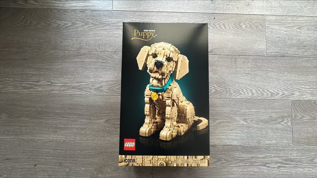 Lego Icons 11384 Golden retriever puppy NIEUW in Doos, Kinderen en Baby's, Lego, Nieuw, Ophalen of Verzenden, Icons