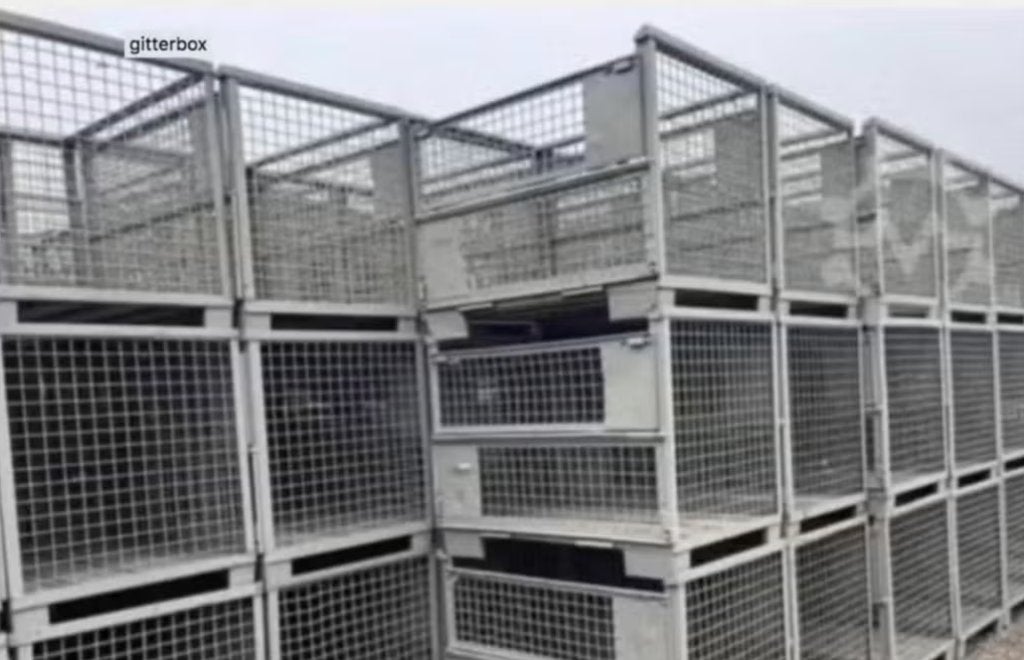partij gitterboxen gitterbox, Enlèvement