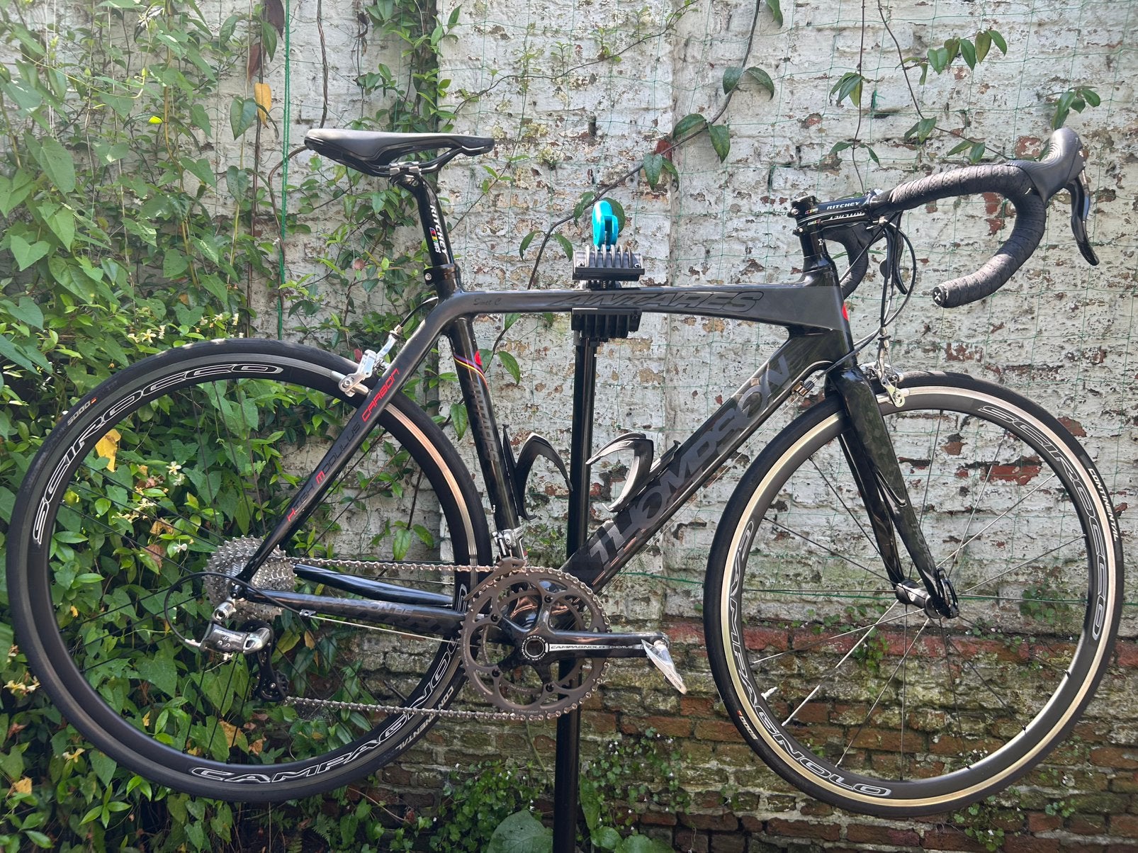 Thompson Carbon Racefiets (Maat 55) - Campagnolo Chorus 11s, Autres marques, 10 à 15 vitesses, Frein sur jante, Enlèvement